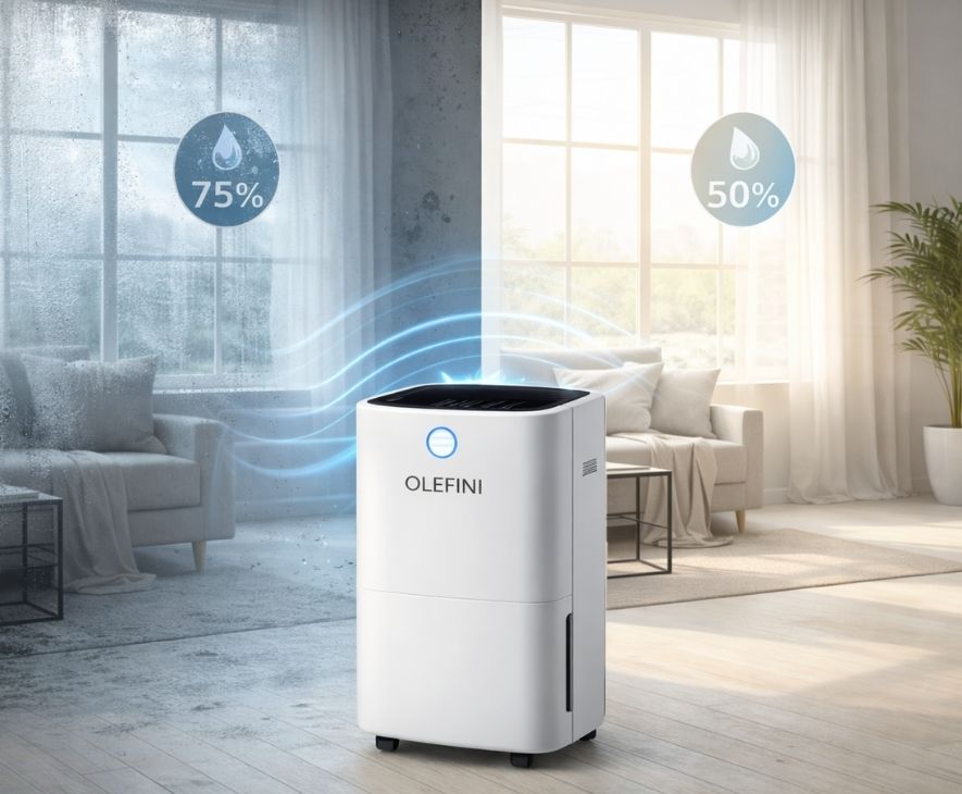Domestik Tip OL12